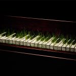 Nancy Fouts, Piano with grass