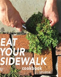 eat-your-sidewalk