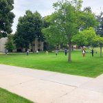 Minneapolis College of Art and Design - Grass Line