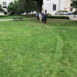 Minneapolis College of Art and Design - Grass Line