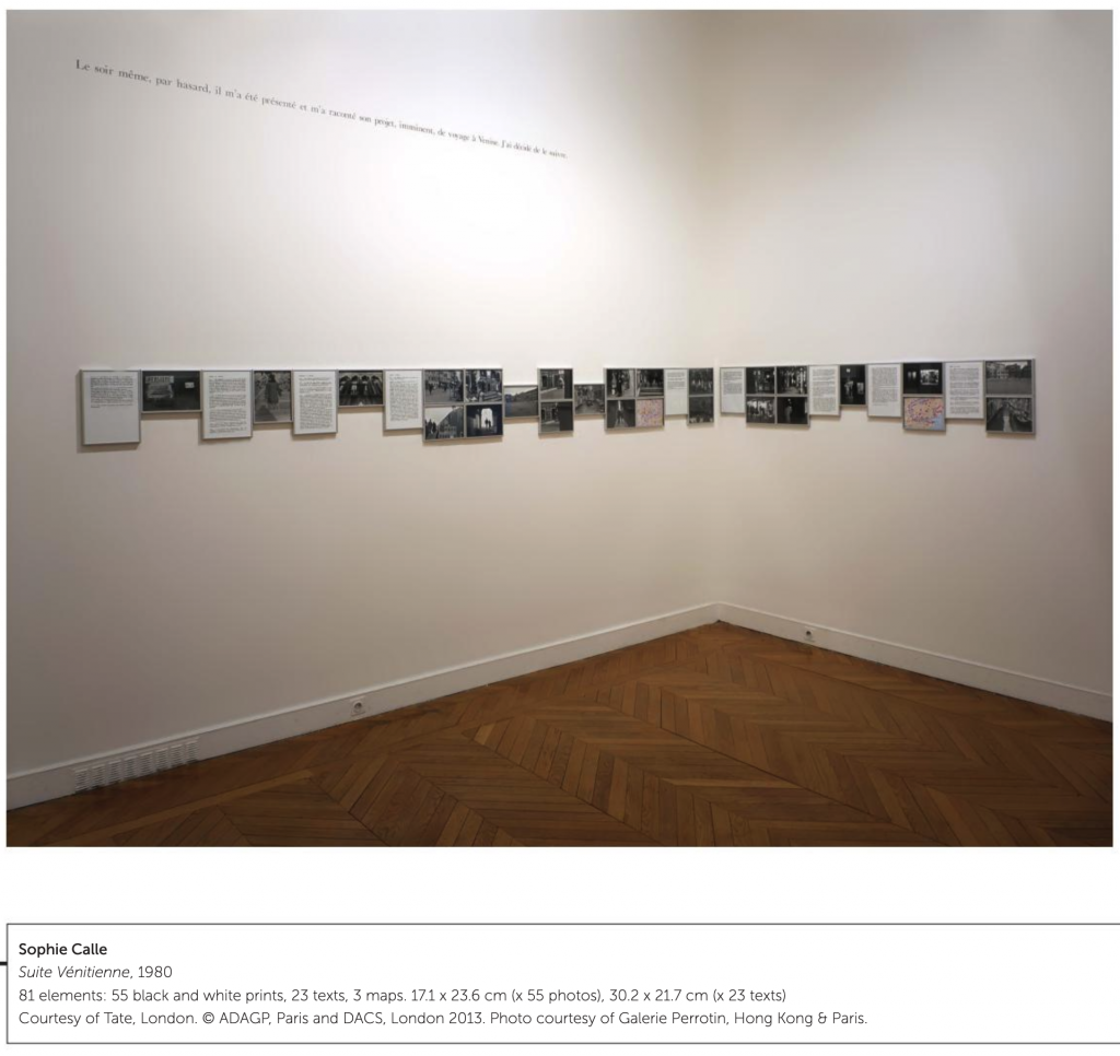 photos and text installed in a gallery in a long line