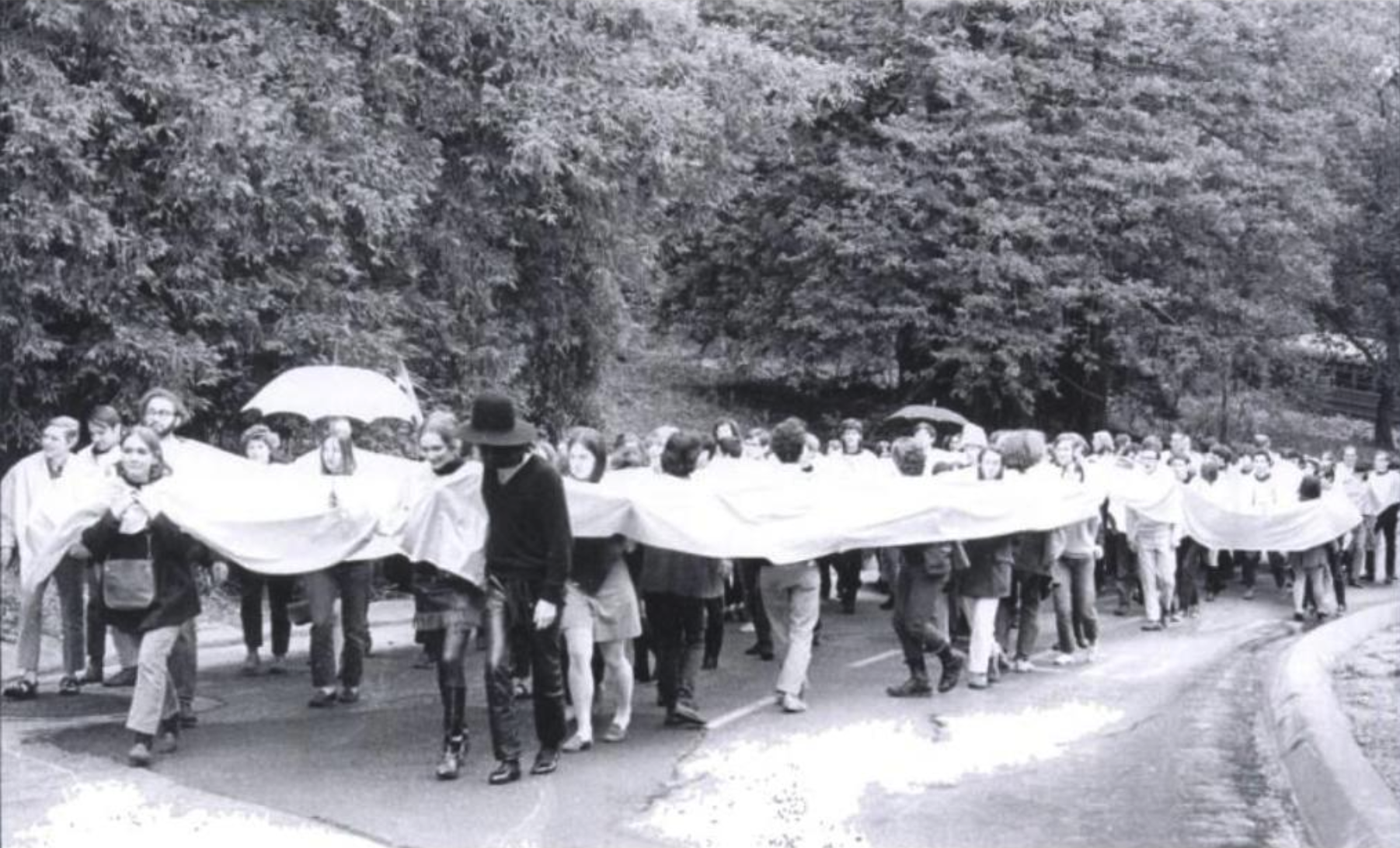 people marching in a shared sheet device