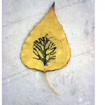 stamped leaf