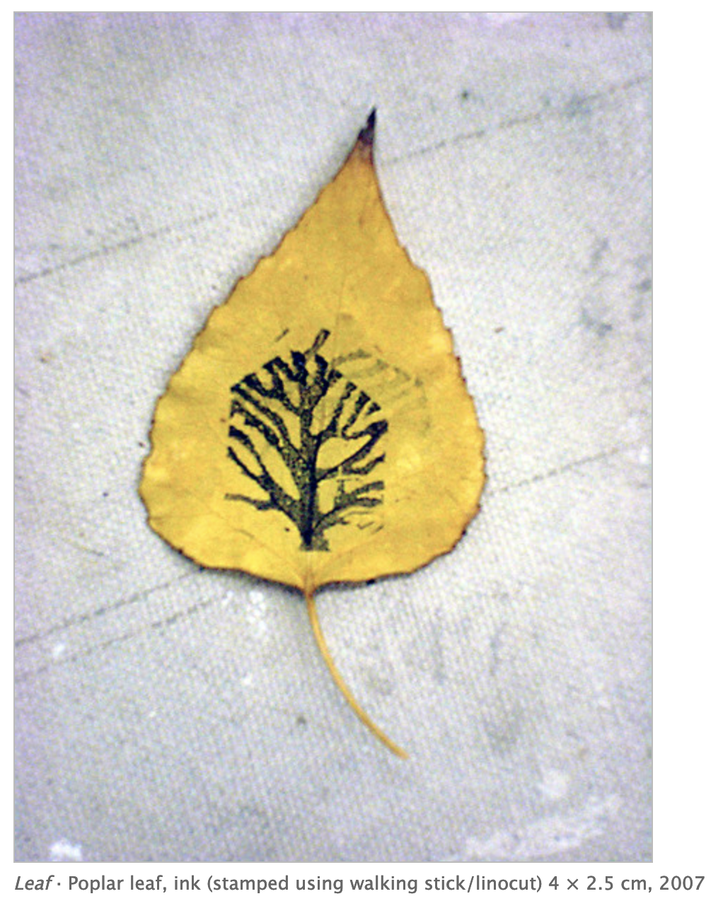 stamped leaf