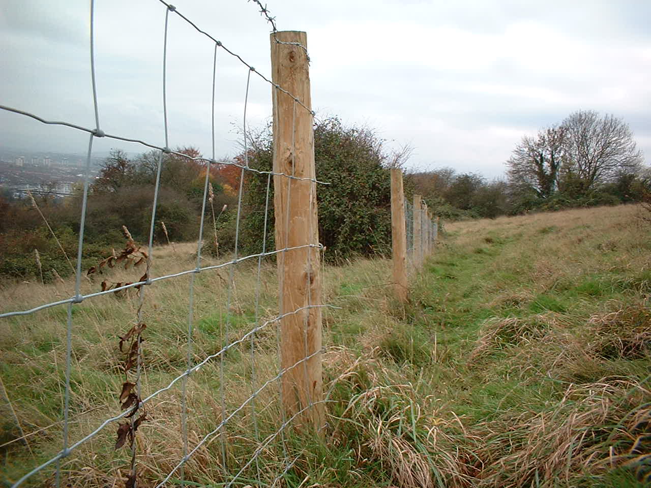 fence cut out