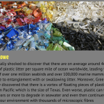 image of found garbage sorted by color