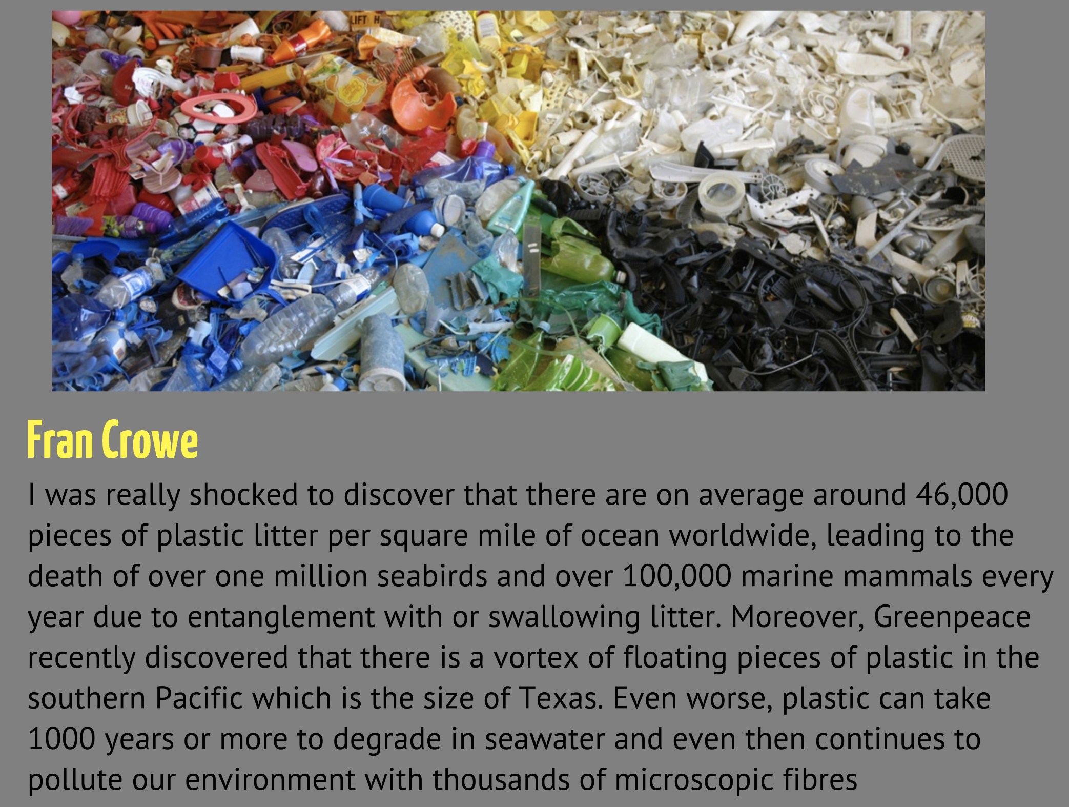 image of found garbage sorted by color